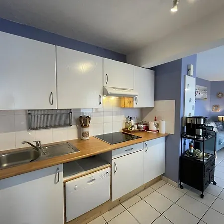 T3 A 50m De L'ocean Pour 4 Personnes - Fr-1-379-135 *